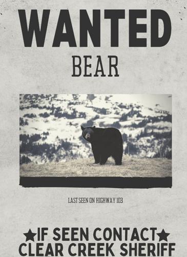 Wanted Bear