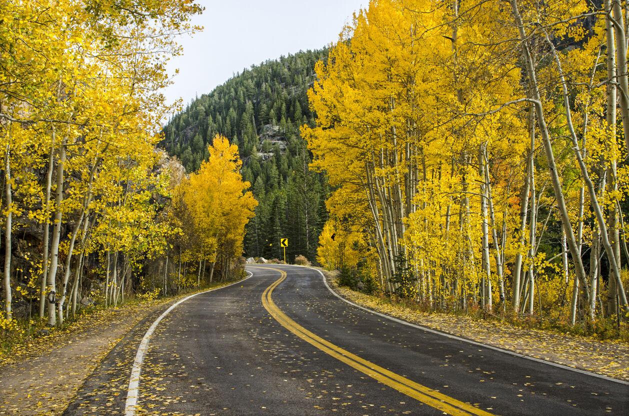What is the best time to see fall colors in Colorado? Outdoors