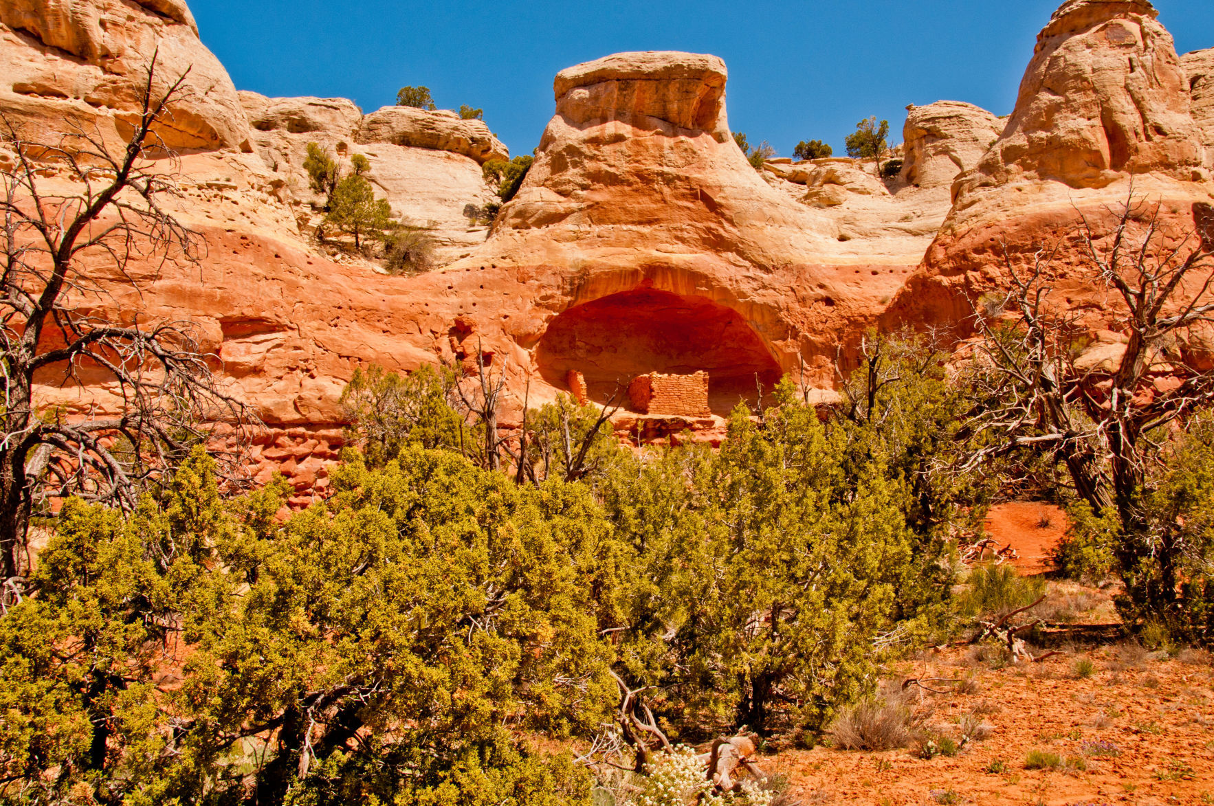 Canyons of the Ancients National Monument | outtherecolorado.com