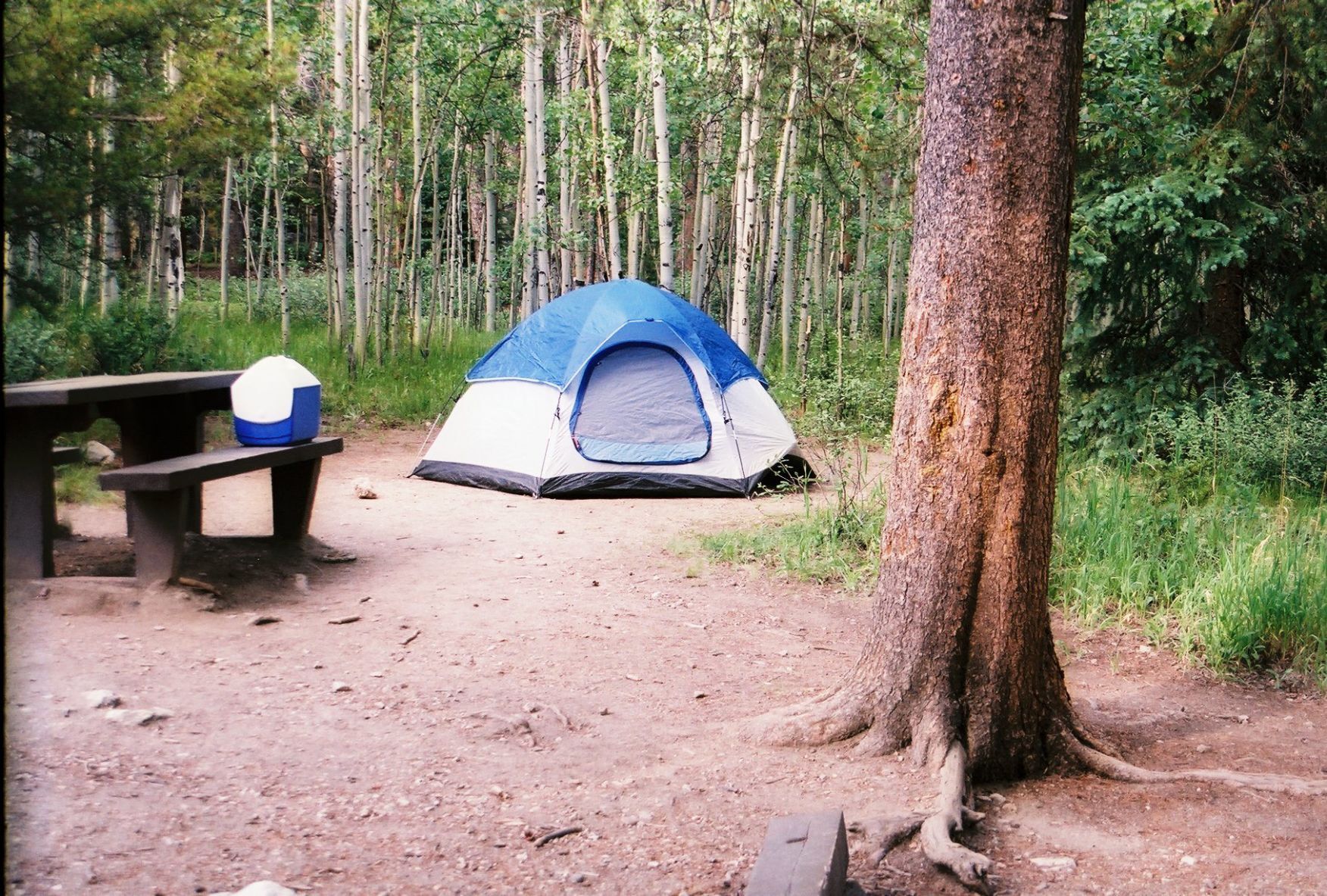 Escape to the Majestic Peaks: Your Guide to Colorado Collegiate Peaks Campground