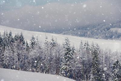 Winter landscape mountain fir tree under the snow Photo Credit: cunfek (iStock).