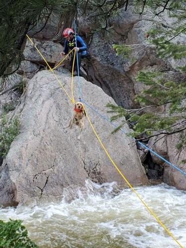 Dog missing for days saved by adventurous rescue in Colorado