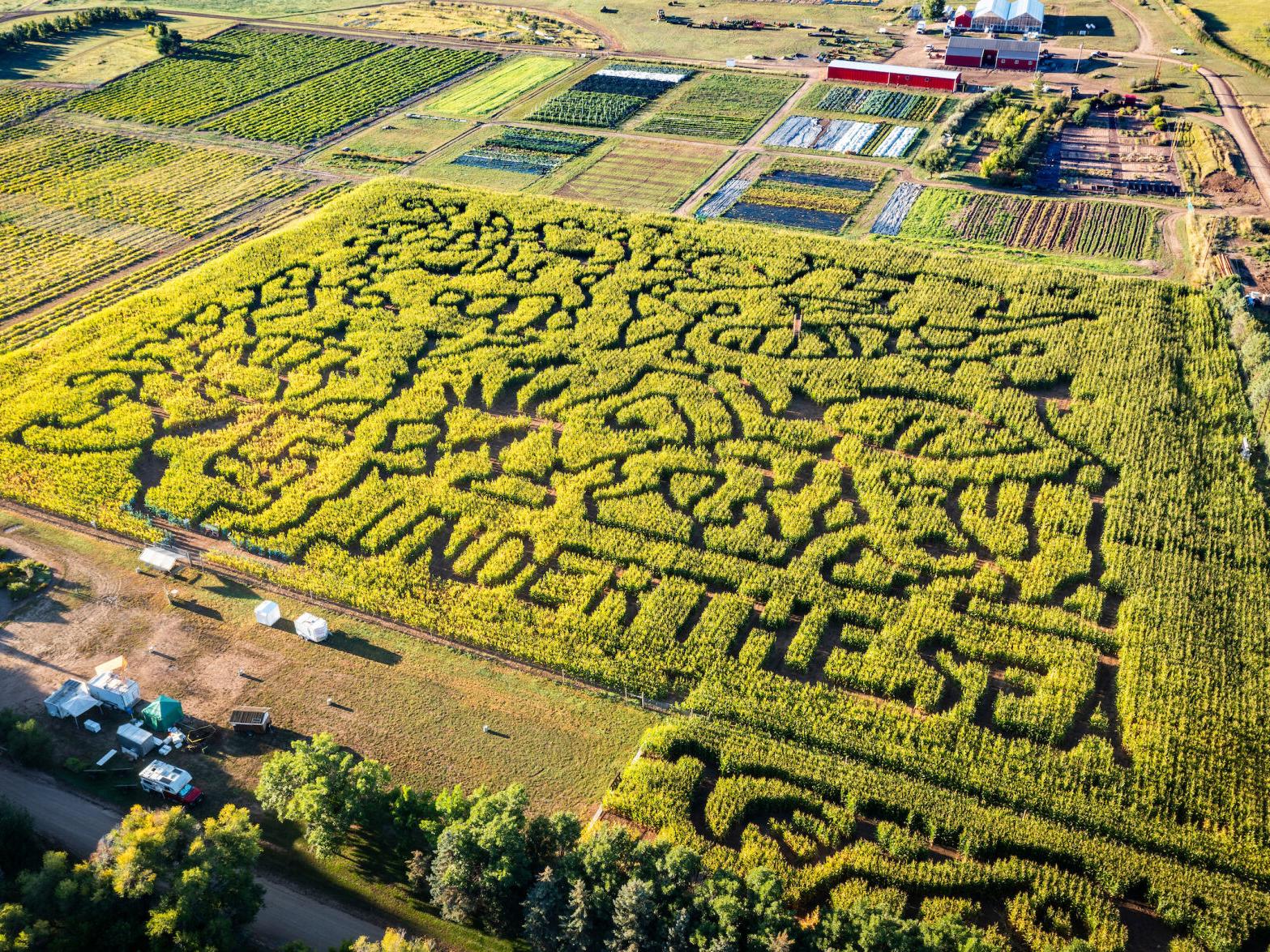 Corn Mazes Near Denver