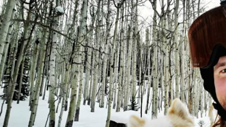 VIDEO: College students rescue dog buried in Colorado avalanche