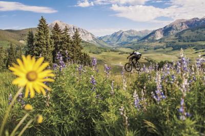 “Wildflower capital” of Colorado hosts Crested Butte Wildflower Festival