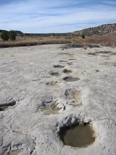 5 places to see dinosaur tracks in Colorado