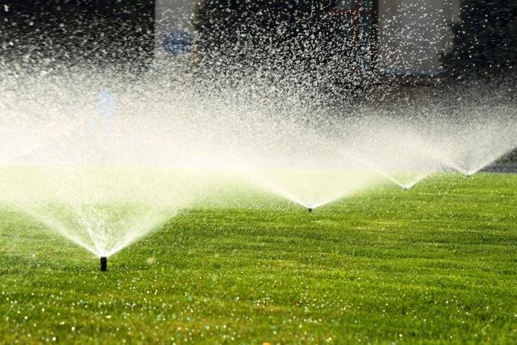 water sprinklers irrigation