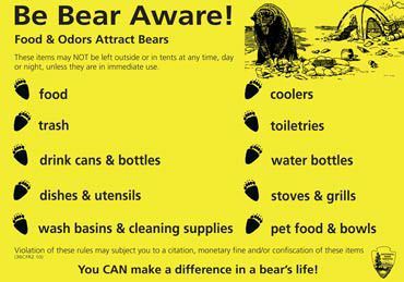 How To ‘Bear-Proof’ Your Campsite