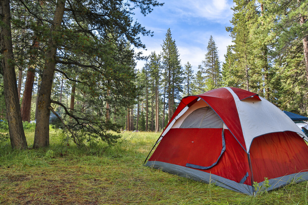 Ceran st vrain clearance camping