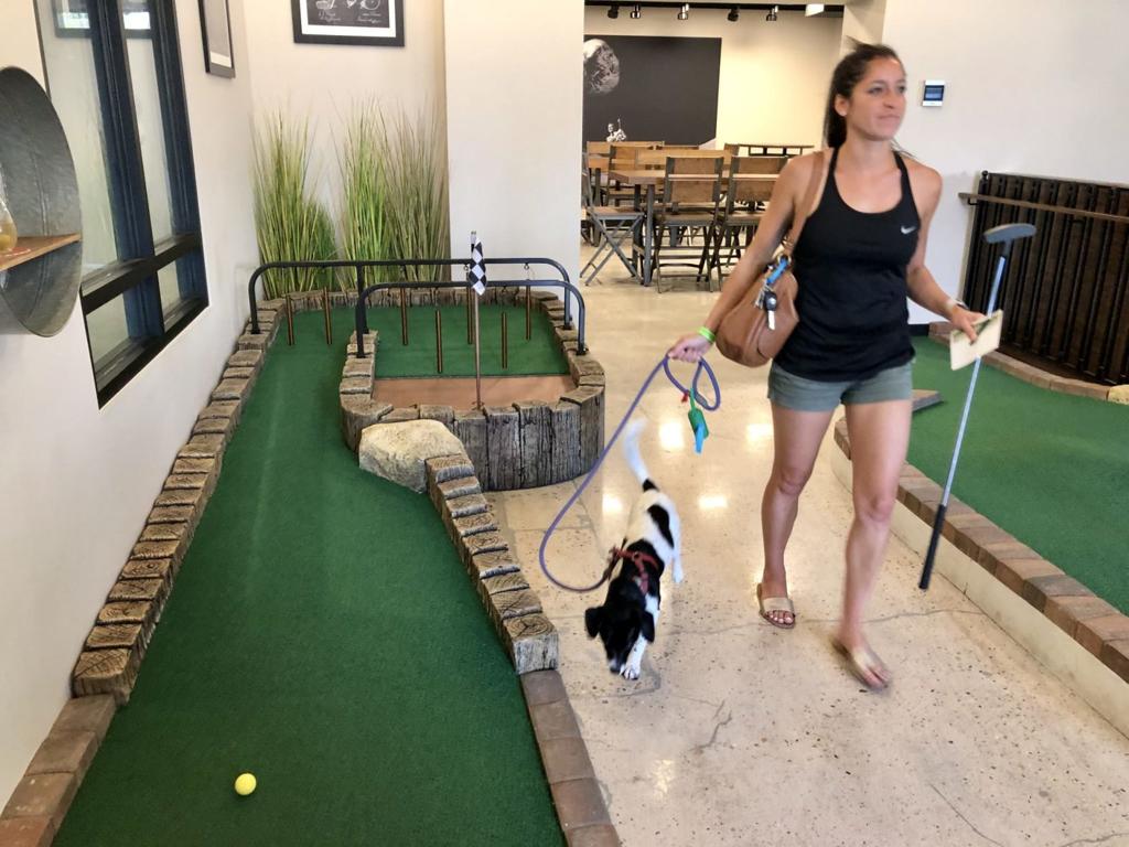 Dog Friendly Options In Fort Collins