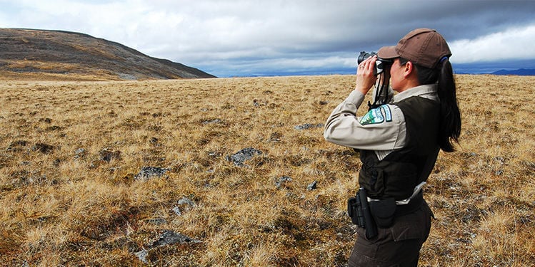 BLM releases crowdsourcing and citizen science plan | Business ...