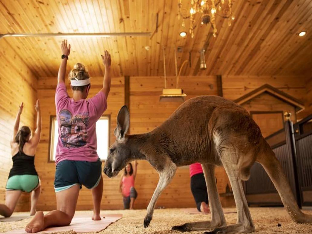 Kangaroo Yoga Mat