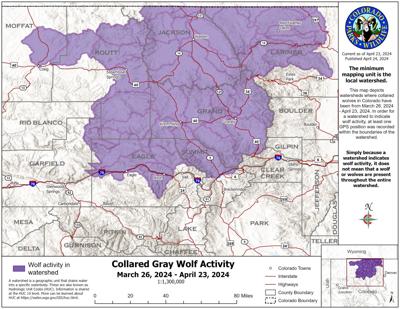 Watersheds where wolves were detected during the period of March 26 to April 23. Map: Colorado Parks and Wildlife.