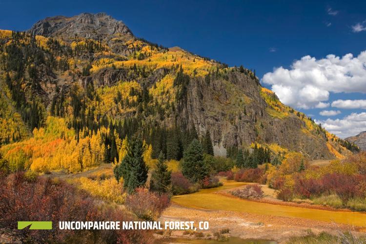 Uncompahgre National Forest