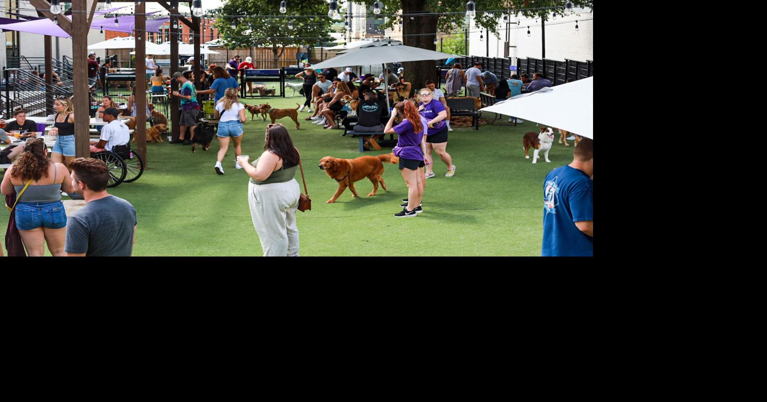 New dog park-meets-bar to span 55,000 square feet in Denver
