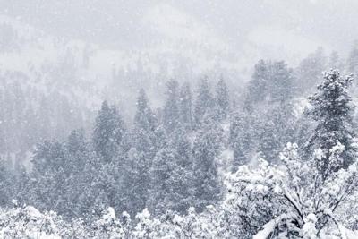 Snow on trees Photo Credit: SWKrullImaging (iStock).