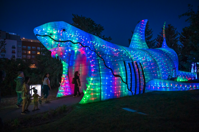 Light arts store inc