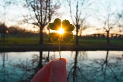 Lucky charm magic four-leaf clover Photo Credit: Kateryna Kovarzh (iStock).