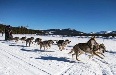 An Inside Look at Dog Sledding in Colorado