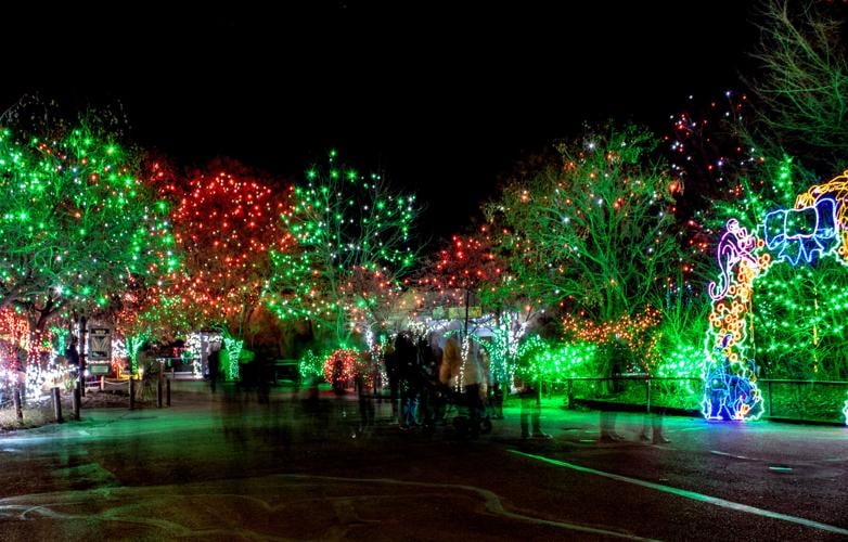 Tickets for Zoo Lights 2023 at the Denver Zoo on sale Things to Do