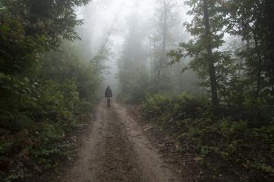 Woman on forest trail PeteSherrard (iStock)