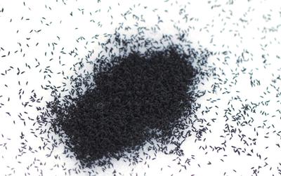 A large swarm of snow fleas. Photo Credit: deepspacedave (iStock).