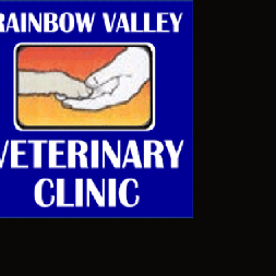 Rainbow veterinary clinic top