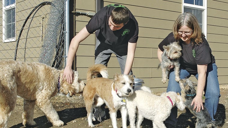 New dog training, boarding business opens Business