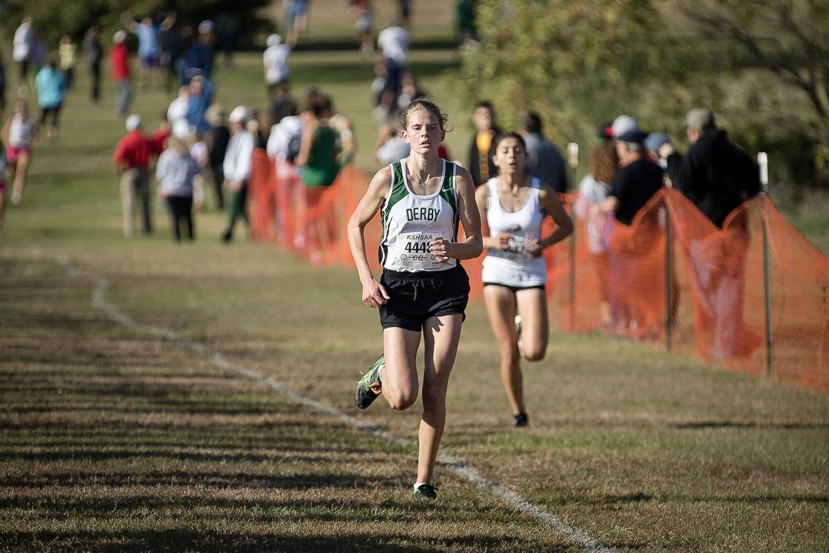 Wichita Falls area high school cross country regional meet results