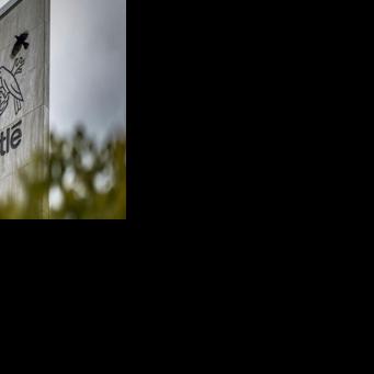 Nestle recalls infant formula in several European countries