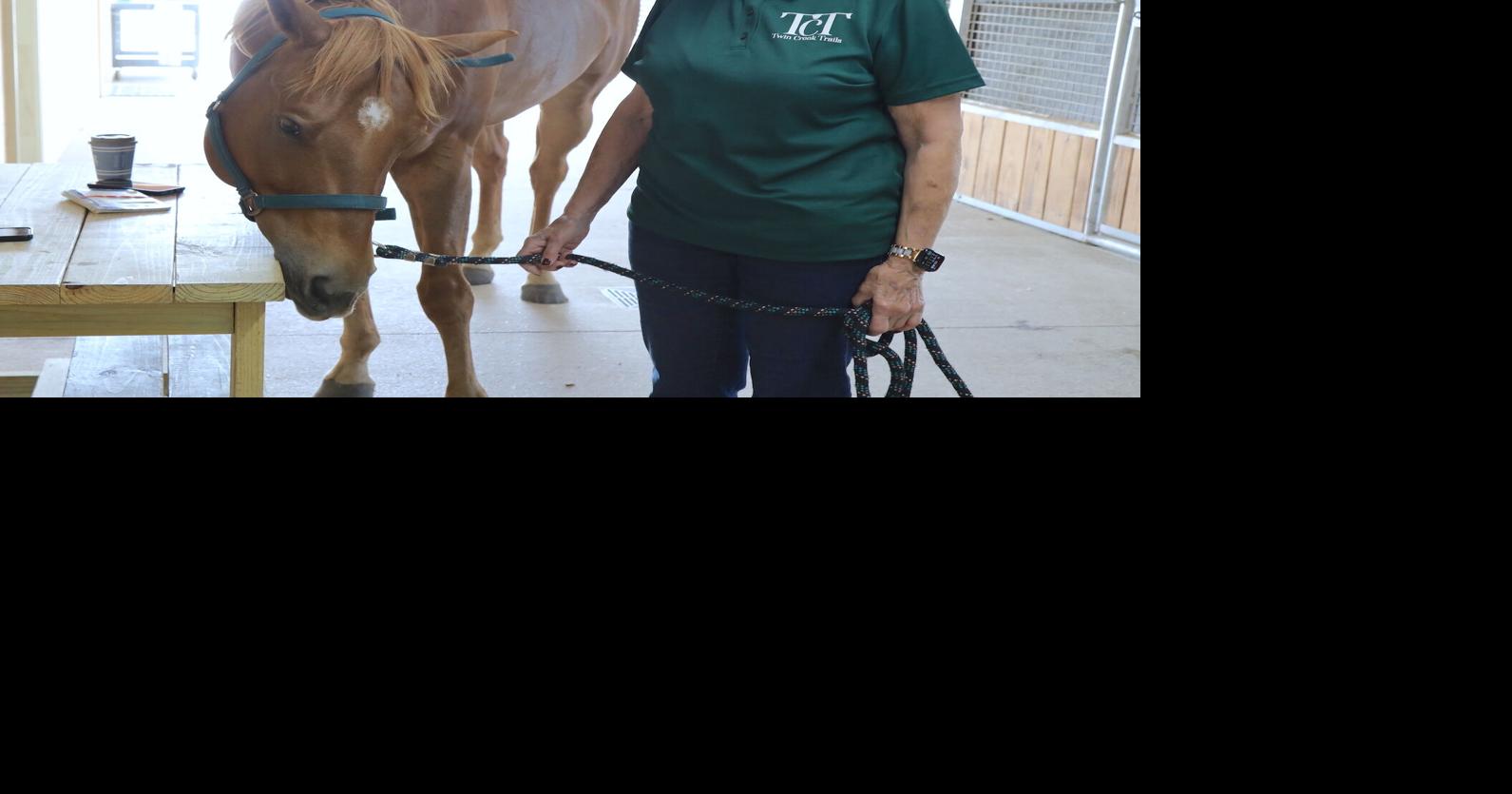 Planning Commission clears conditional use for riding stable | Business ...