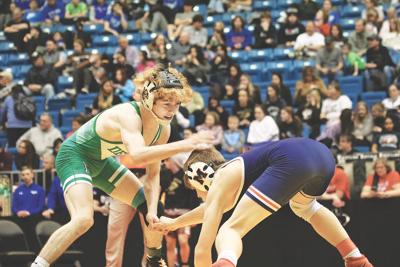 Wrestling all league