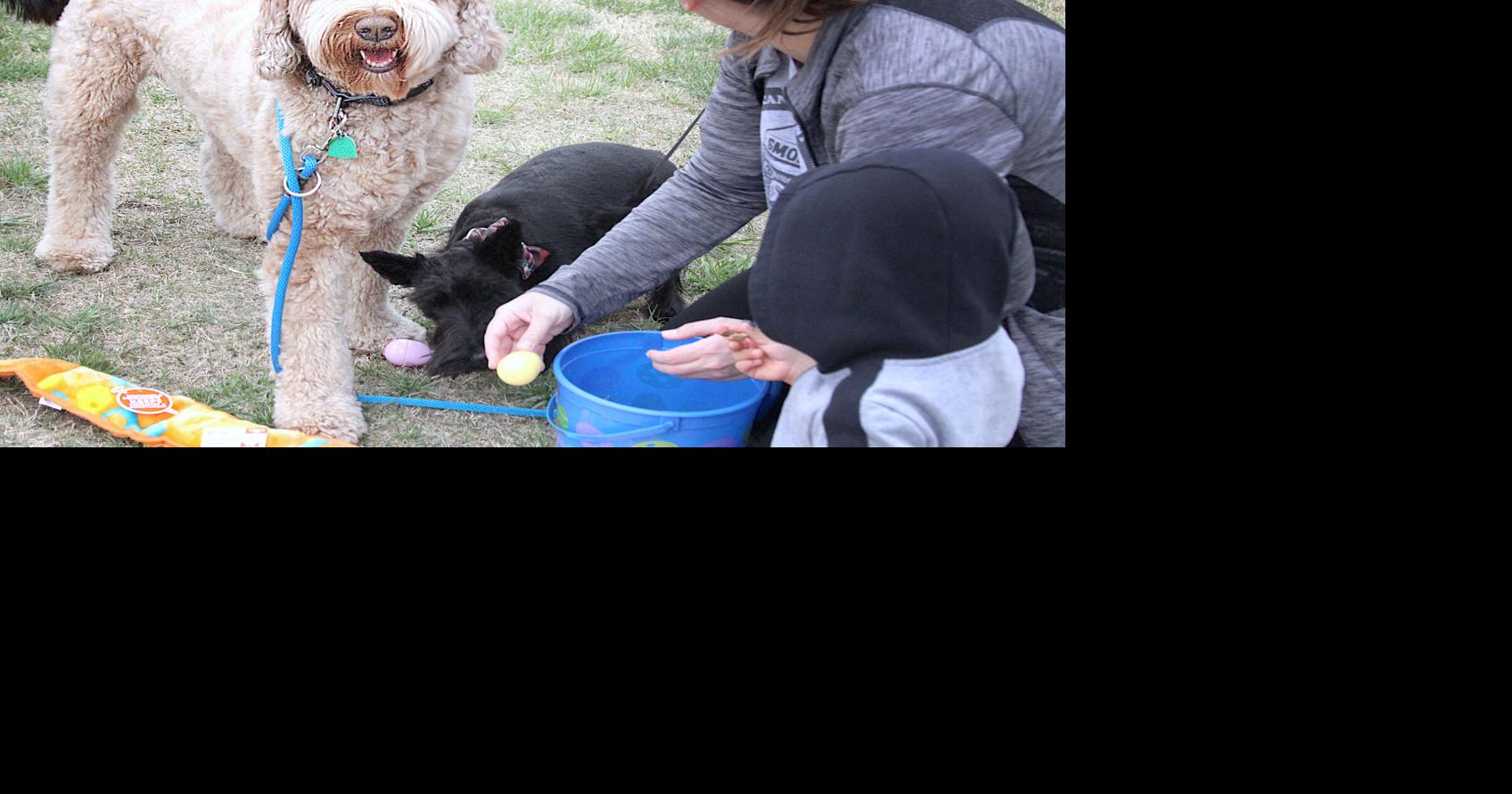 DRC hosting series of Easter egg hunts