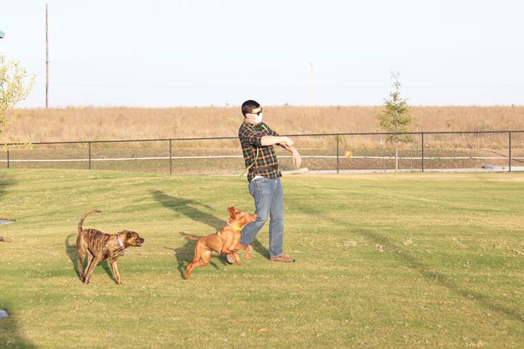 Unfurgettable Derby opens first dog park Derby News