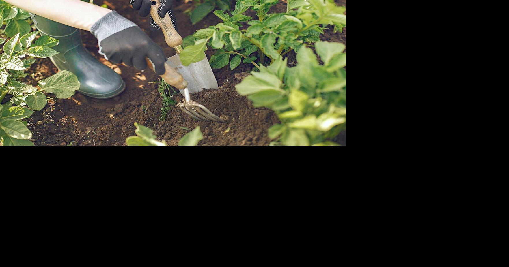 Mulvane library grows resources with seeds, spices