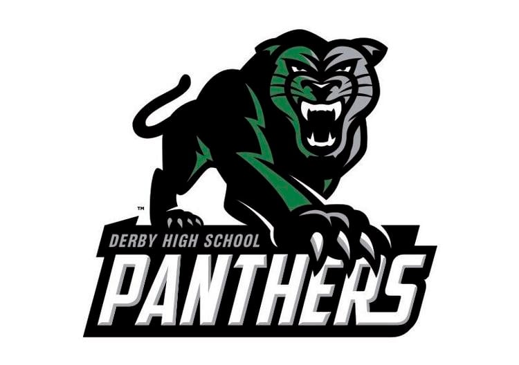 DHS Athletic Hall of Fame class announced | Derby Sports ...