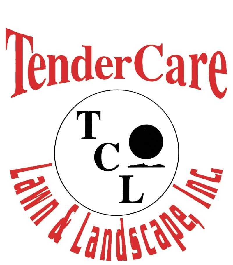 A glimpse of family and the future of TenderCare, Business