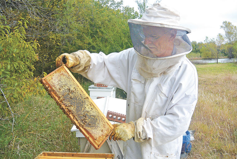 Veterans protect national food security by becoming beekeepers