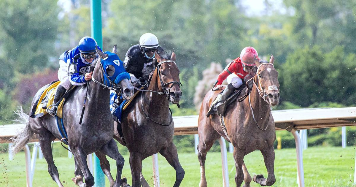 Graduation Spotify Live horse racing returns to the Sunflower State | Area | derbyinformer.com