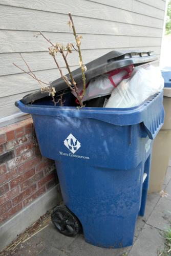 City sees need for countywide yard waste recycling program ...