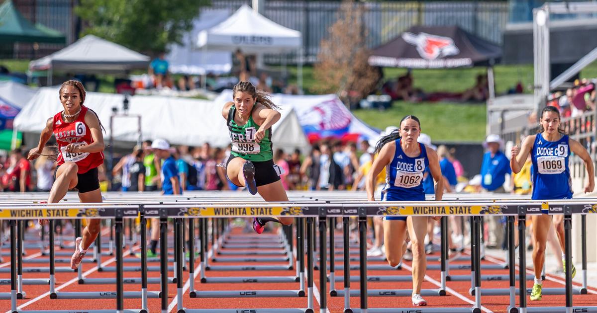 Panthers see podium finishes at state track and field