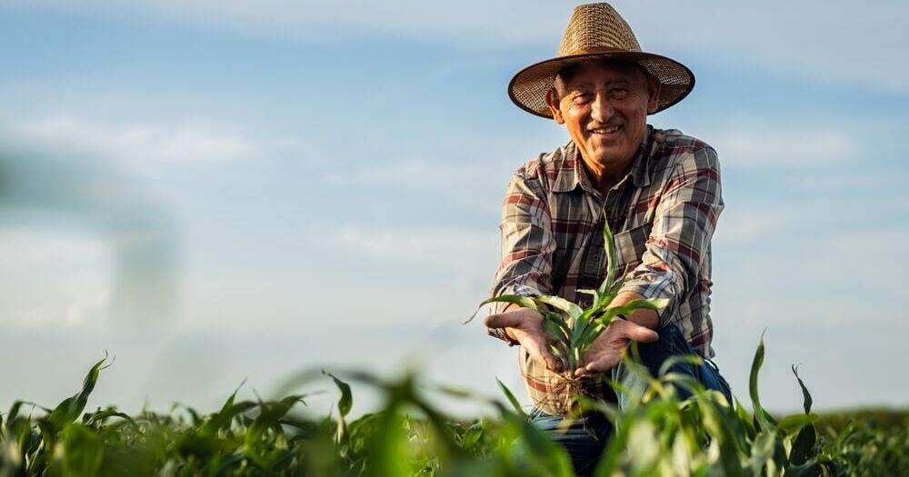70.9% of Kansas's Seasonal Visa Workers Fill Farm Jobs