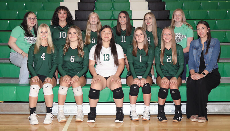 Team_Volleyball JV_color.jpg