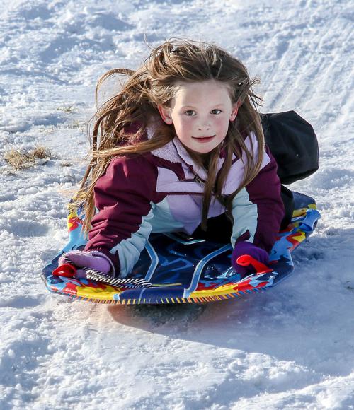 By Informer HighPark Sled12.jpg