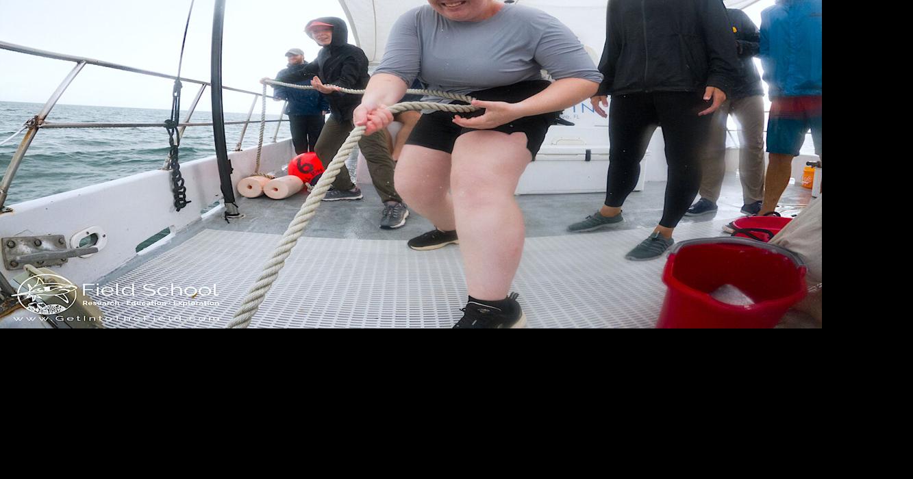 DHS alum helps with shark research expedition
