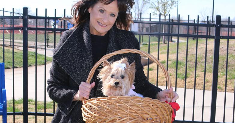 Volunteer therapy dog, owner bring comfort and joy wherever they go