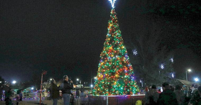City tree lighting to kick off holiday season | Derby News ...