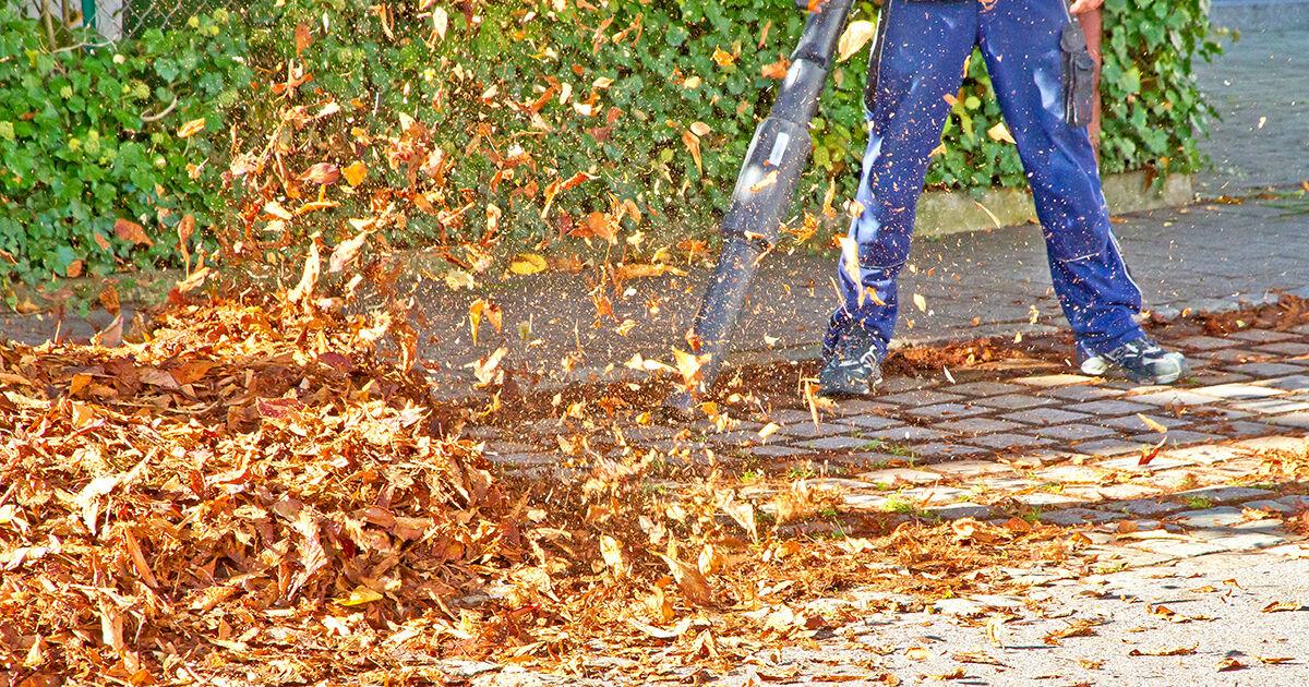 Leafs Raffles Legion holds raffle for leaf blower | Derby News | derbyinformer.com