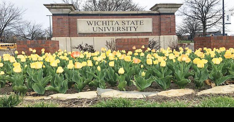 Wichita State University Calendar Spring 2023 Wsu Offering Incentives To Vaccinated Students | Area | Derbyinformer.com