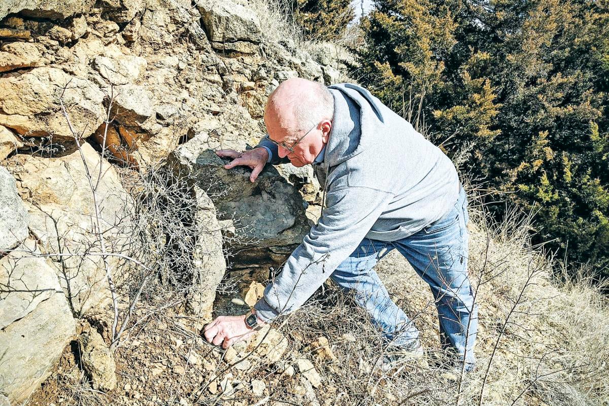 Fossil hunting in Kansas with an app State/Regional/National